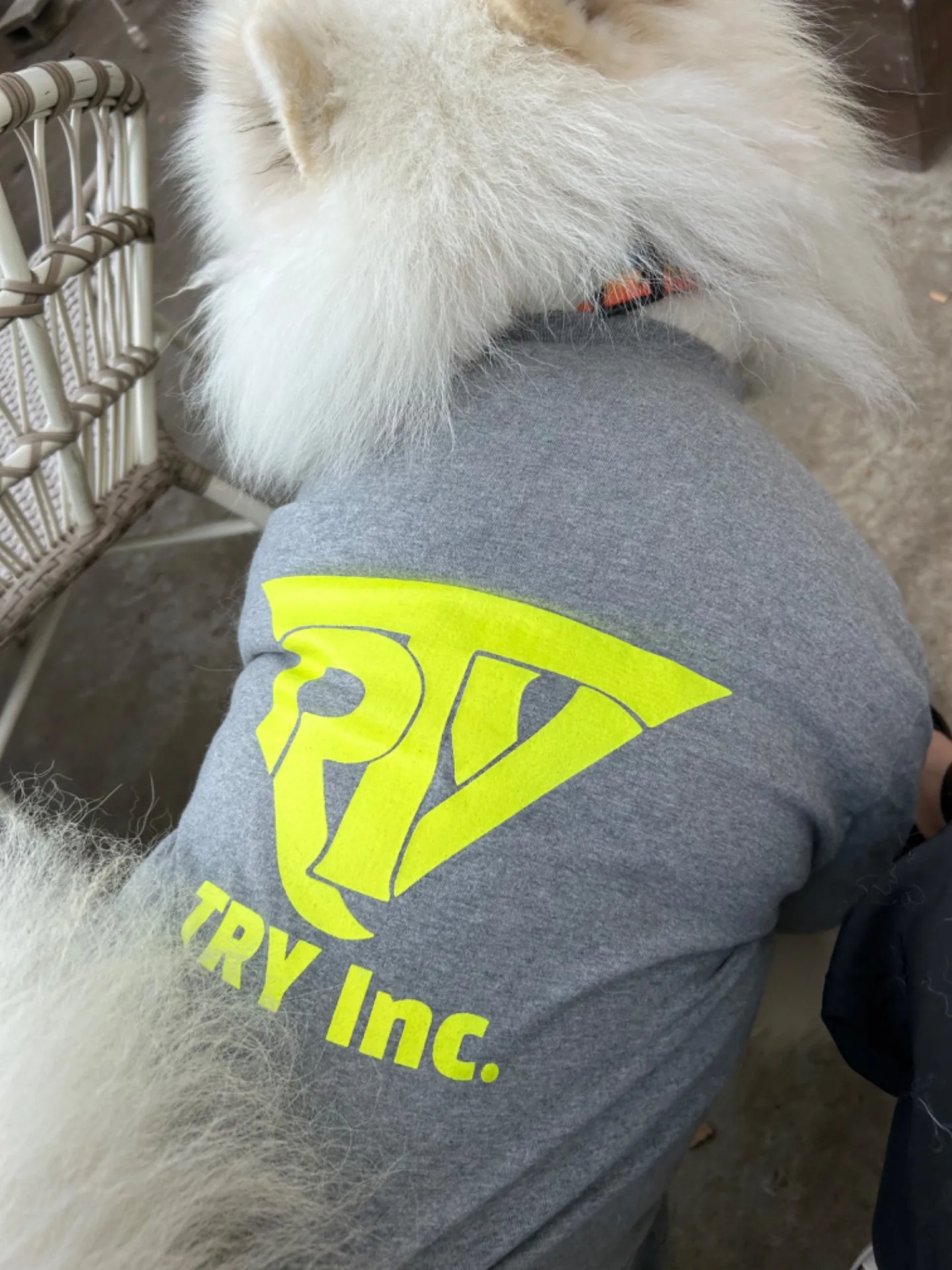 【TRY!Tシャツ】